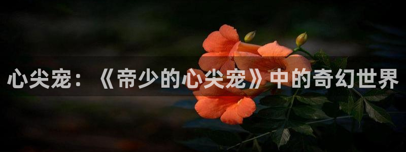 拷贝漫画在线官网：心尖宠：《帝少的心尖宠》中的奇幻世界