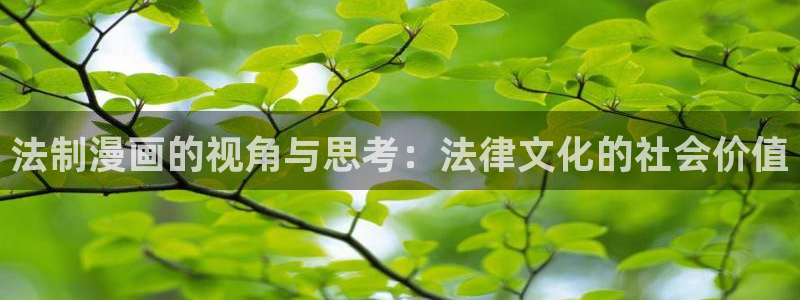 拷贝漫画下载：法制漫画的视角与思考：法律文化的社会价值