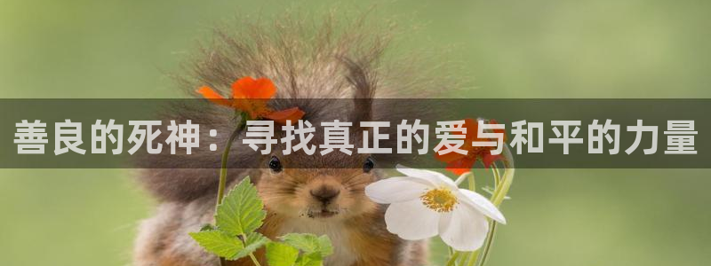 拷贝漫画gb：善良的死神：寻找真正的爱与和平的力量
