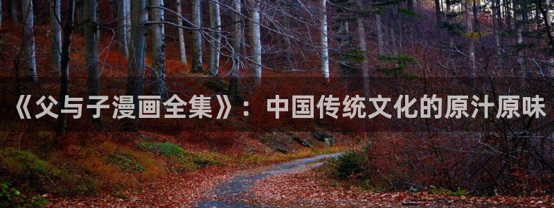 拷贝漫画怎么下载到本地图片：《父与子漫画全集》：中国传统文化的原汁原味