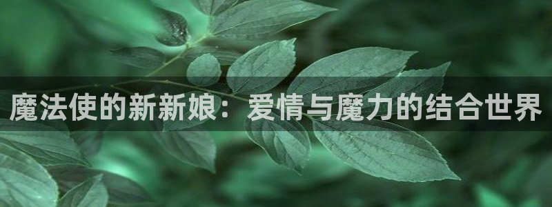 拷贝漫画下载网址：魔法使的新新娘：爱情与魔力的结合世界